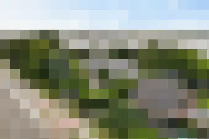 Naaldwijkseweg 227 's-Gravenzande thumbnail 46