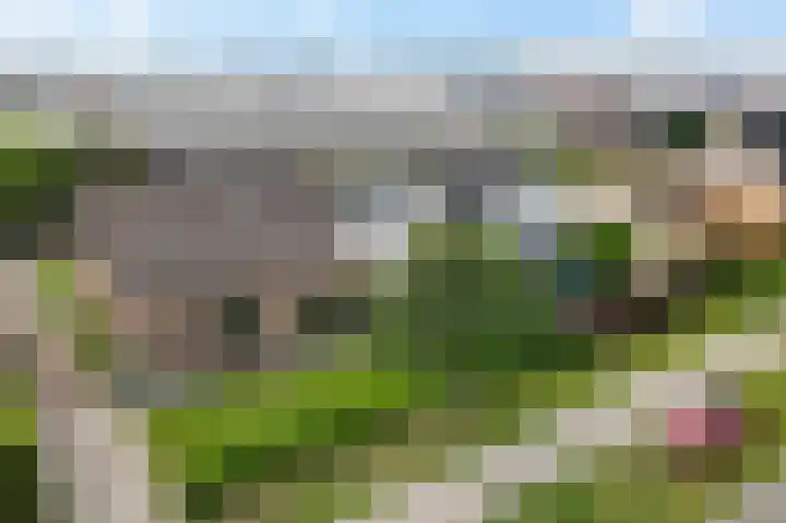 Naaldwijkseweg 227 's-Gravenzande thumbnail 47