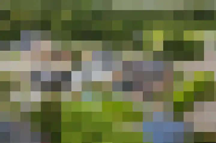 Naaldwijkseweg 227 's-Gravenzande thumbnail 49