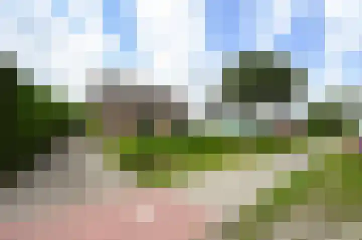 Naaldwijkseweg 227 's-Gravenzande thumbnail 51