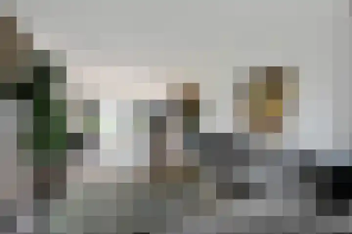 Naaldwijkseweg 227 's-Gravenzande thumbnail 6