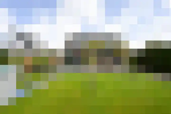 Naaldwijkseweg 227 's-Gravenzande thumbnail 9