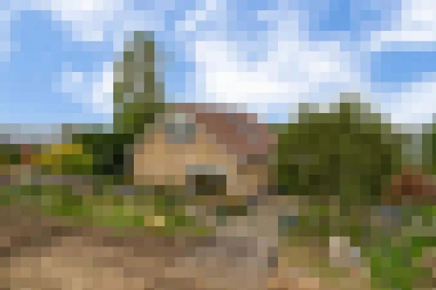 Naaldwijkseweg 243 B 's-Gravenzande thumbnail 27