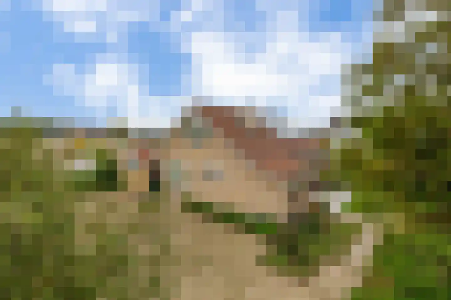 Naaldwijkseweg 243 B 's-Gravenzande thumbnail 30