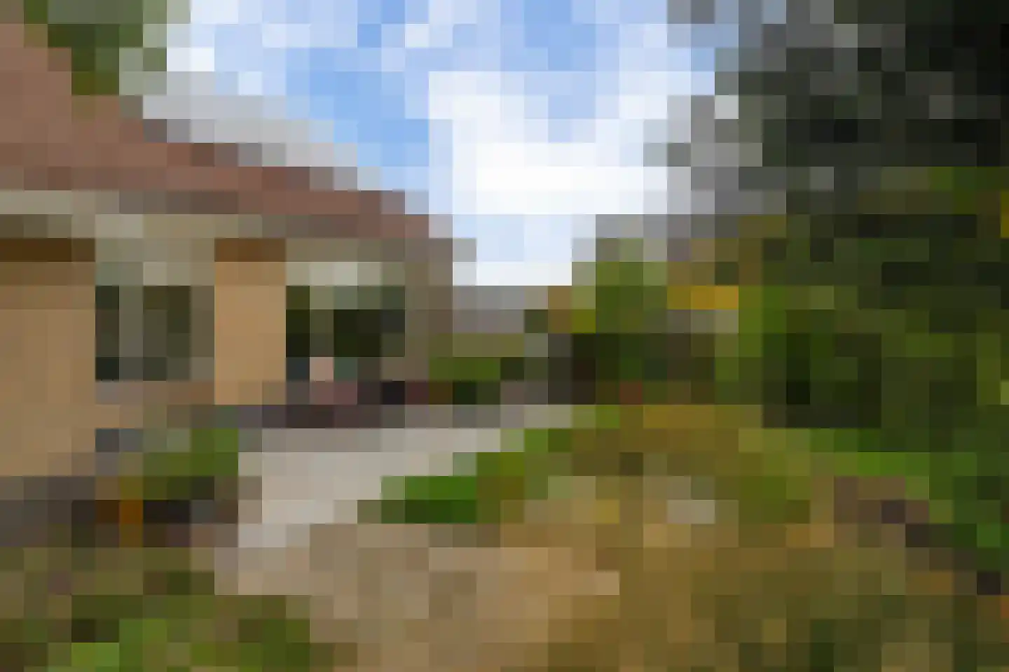 Naaldwijkseweg 243 B 's-Gravenzande thumbnail 7