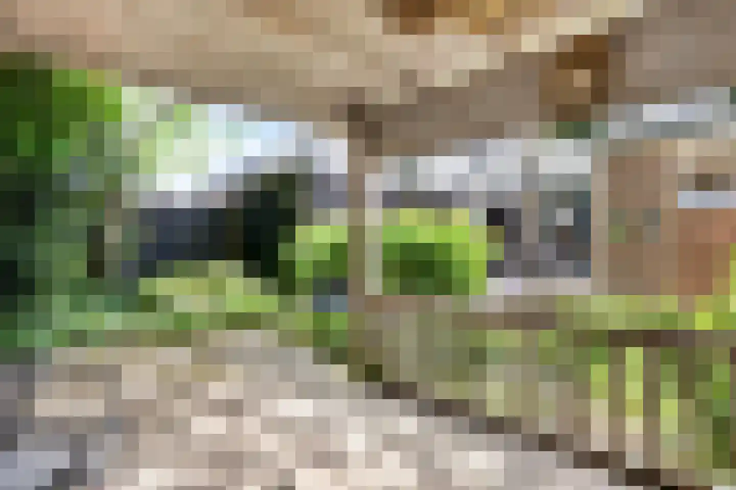 Naaldwijkseweg 286 C 's-Gravenzande thumbnail 34