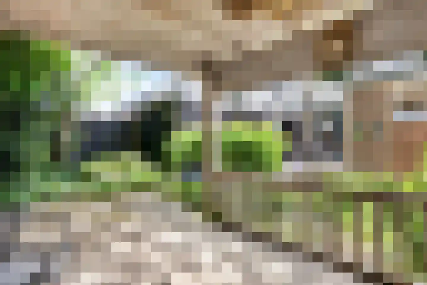 Naaldwijkseweg 286 C 's-Gravenzande thumbnail 34