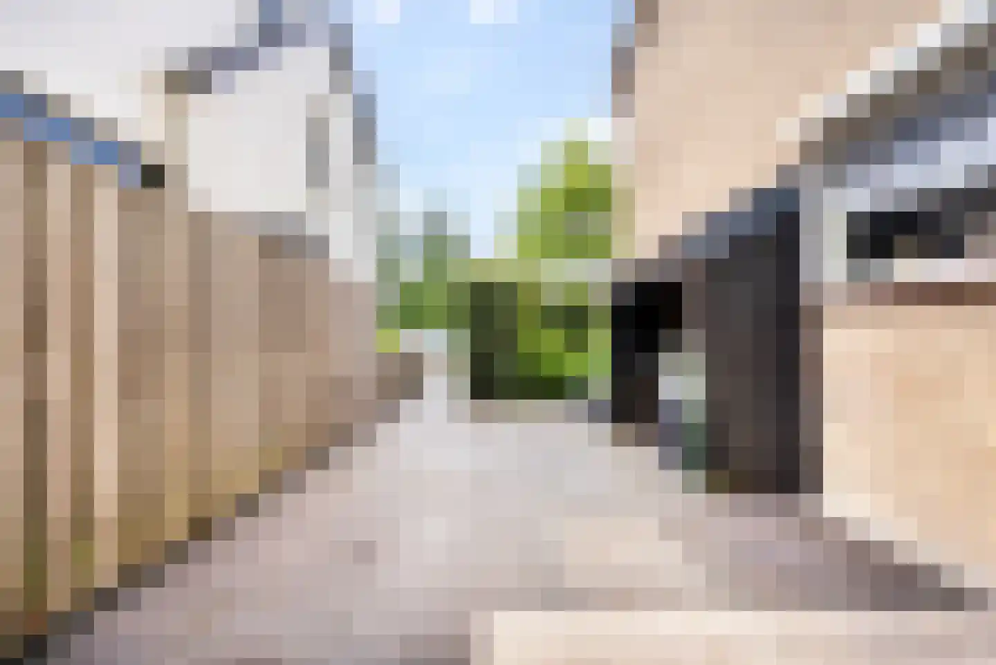 Naaldwijkseweg 286 C 's-Gravenzande thumbnail 37
