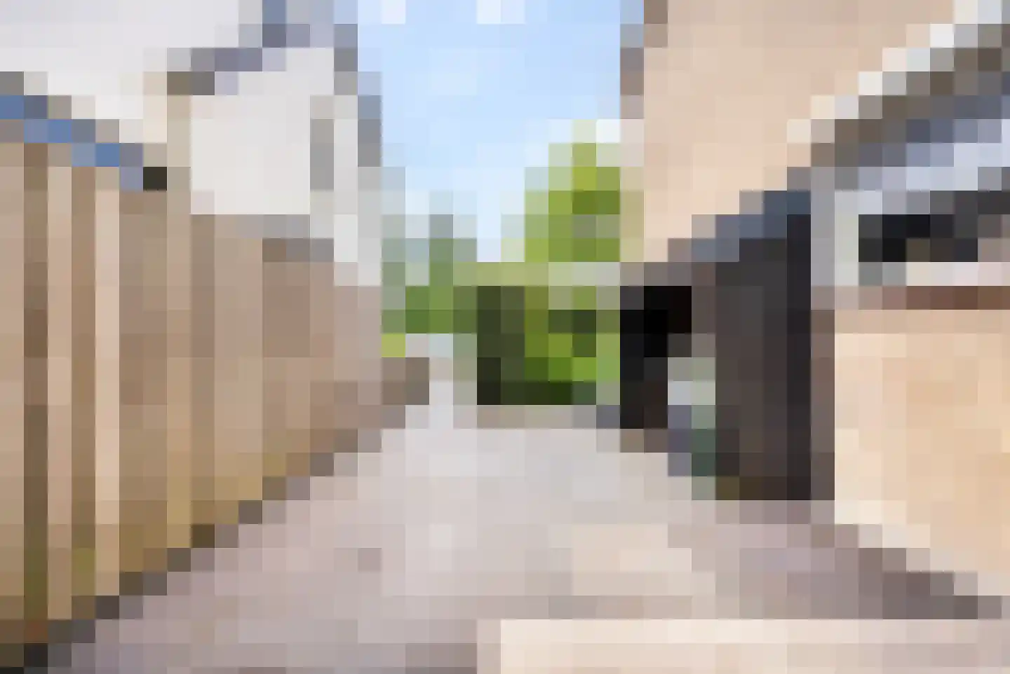 Naaldwijkseweg 286 C 's-Gravenzande thumbnail 37