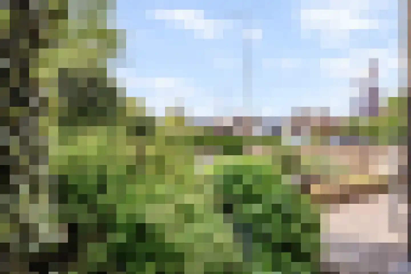 Naaldwijkseweg 286 C 's-Gravenzande thumbnail 40
