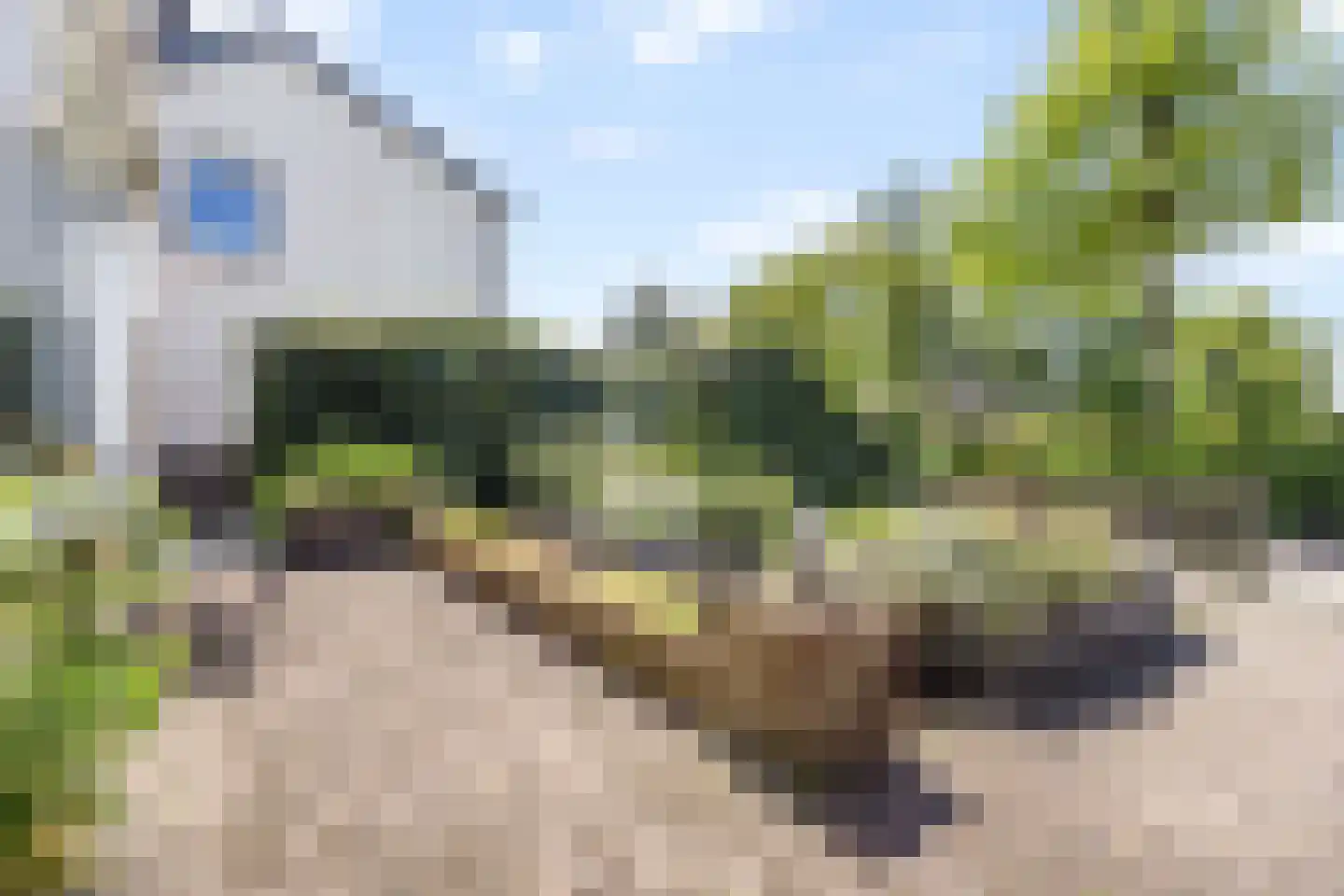 Naaldwijkseweg 286 C 's-Gravenzande thumbnail 5