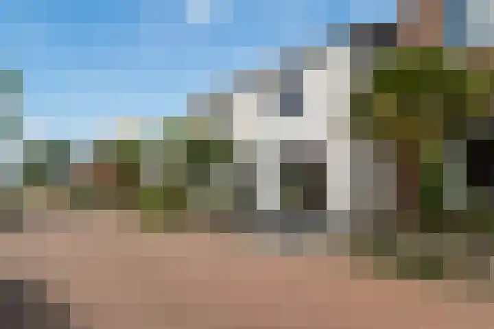Naaldwijkseweg 290 's-Gravenzande thumbnail 7