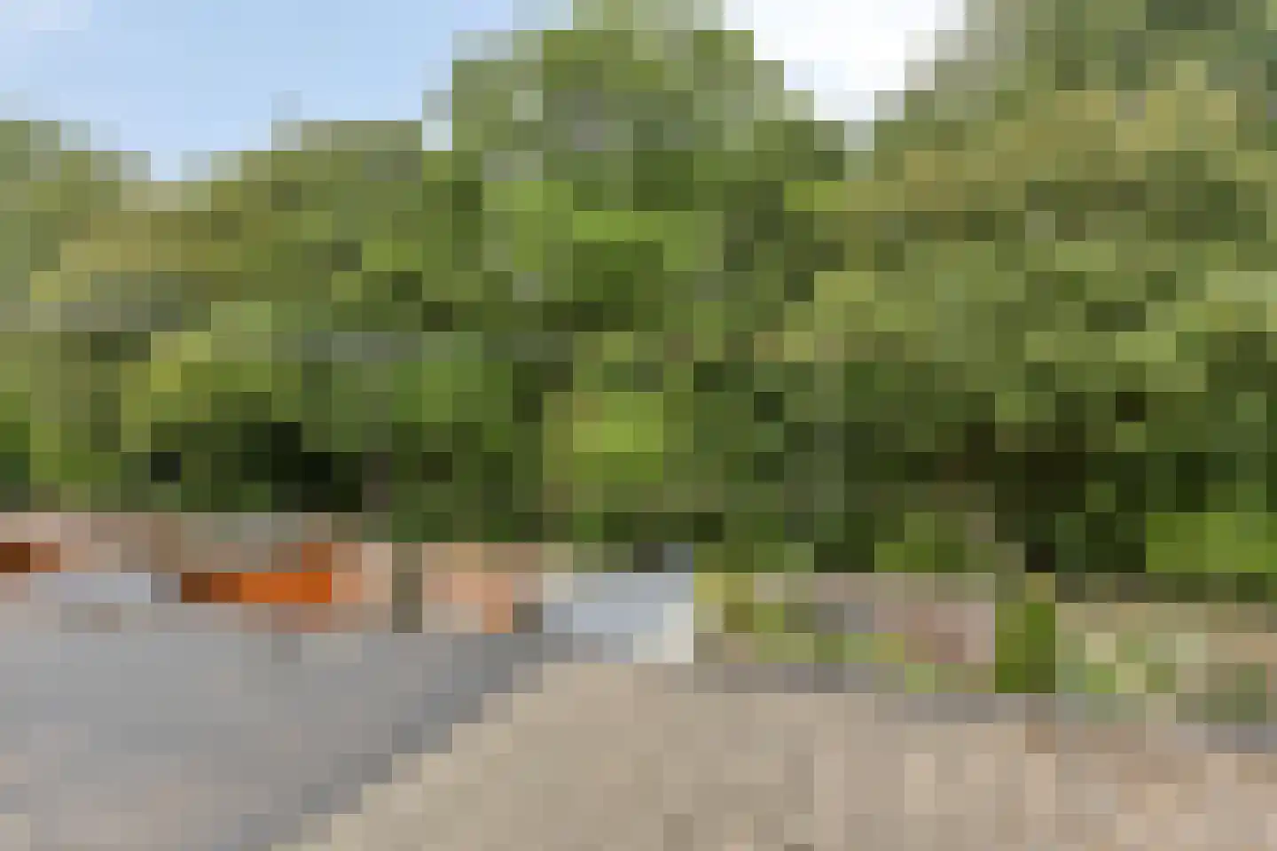 Naaldwijkseweg 298 's-Gravenzande thumbnail 32