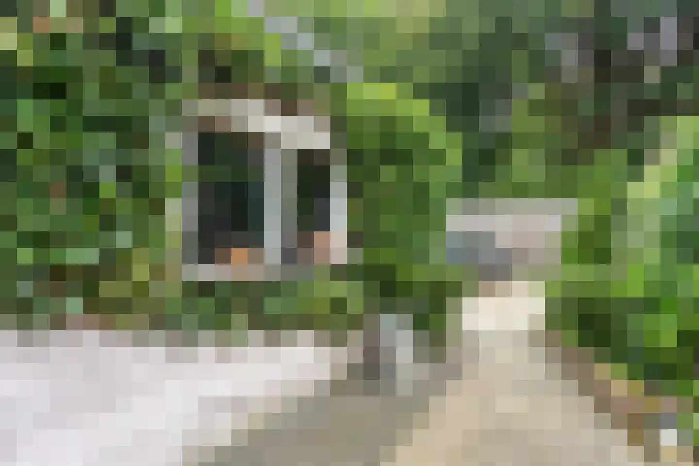 Naaldwijkseweg 298 's-Gravenzande thumbnail 34