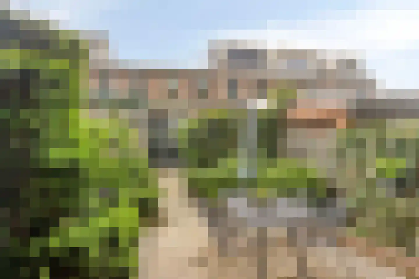 Naaldwijkseweg 298 's-Gravenzande thumbnail 5