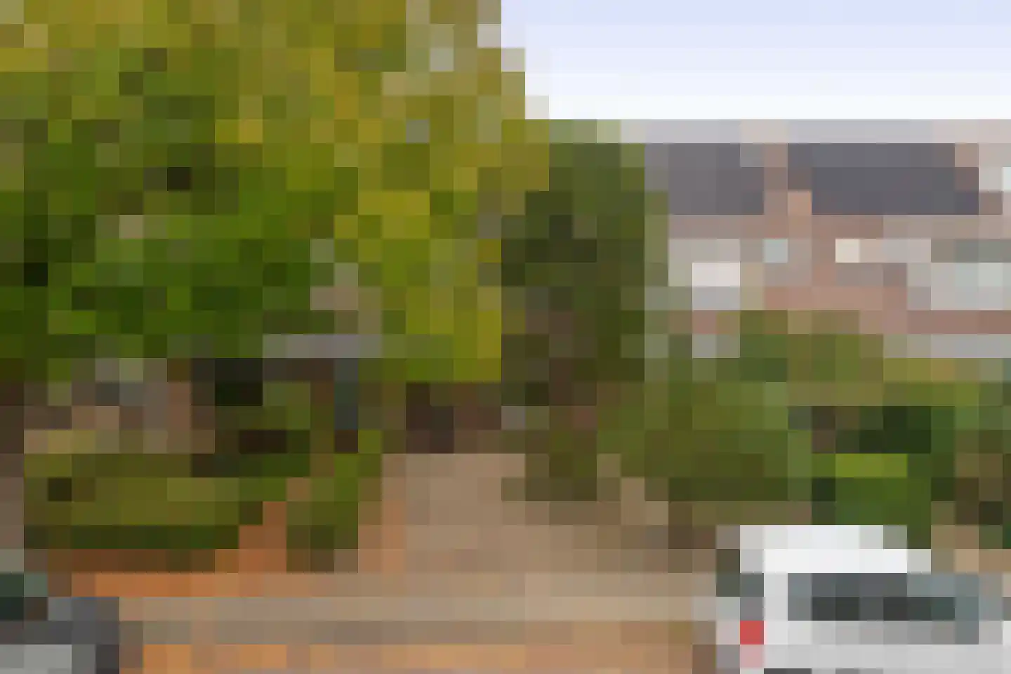 Naaldwijkseweg 30 A 's-Gravenzande thumbnail 30