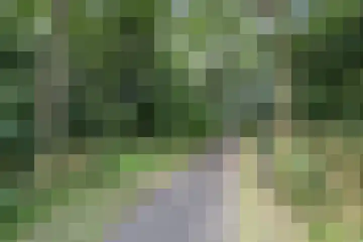 Naaldwijkseweg 302 's-Gravenzande thumbnail 29