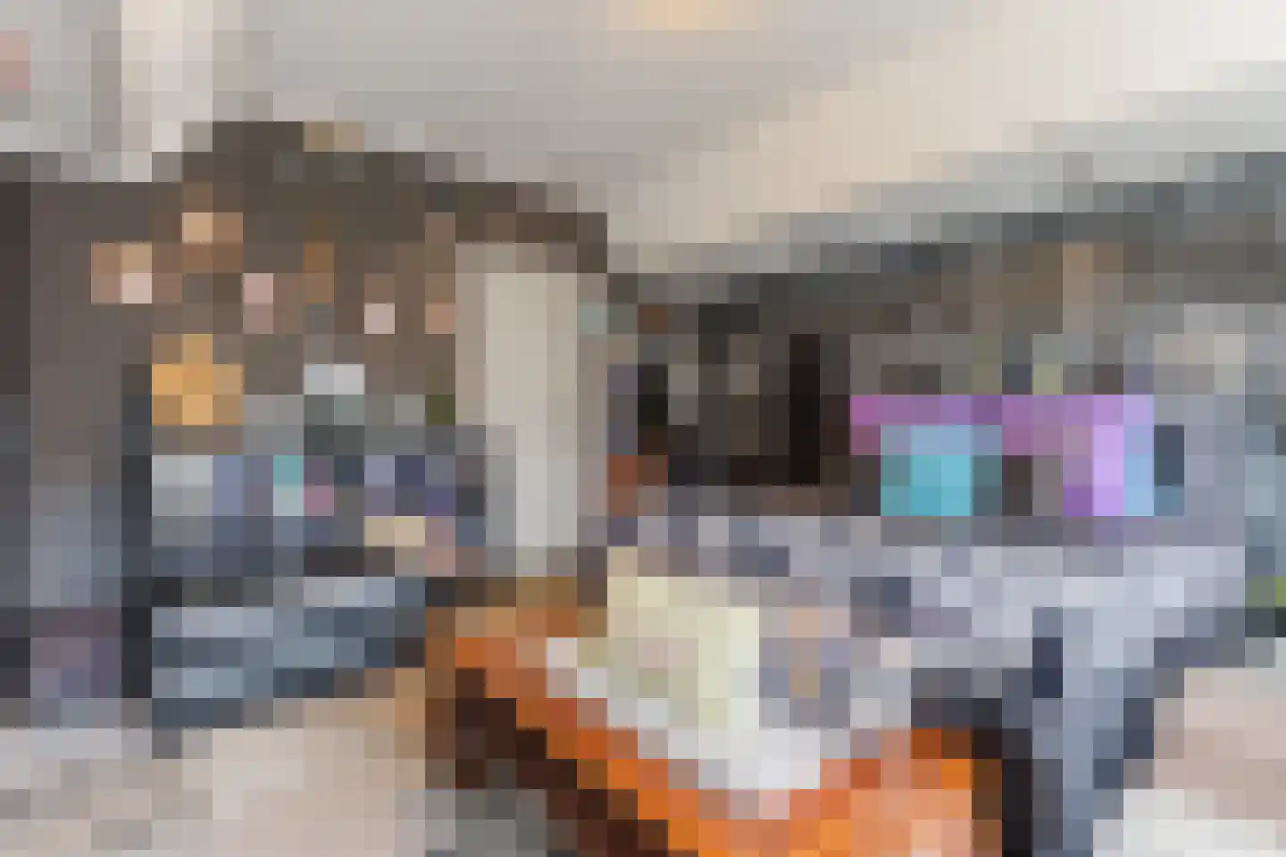 Naaldwijkseweg 4 's-Gravenzande thumbnail 11