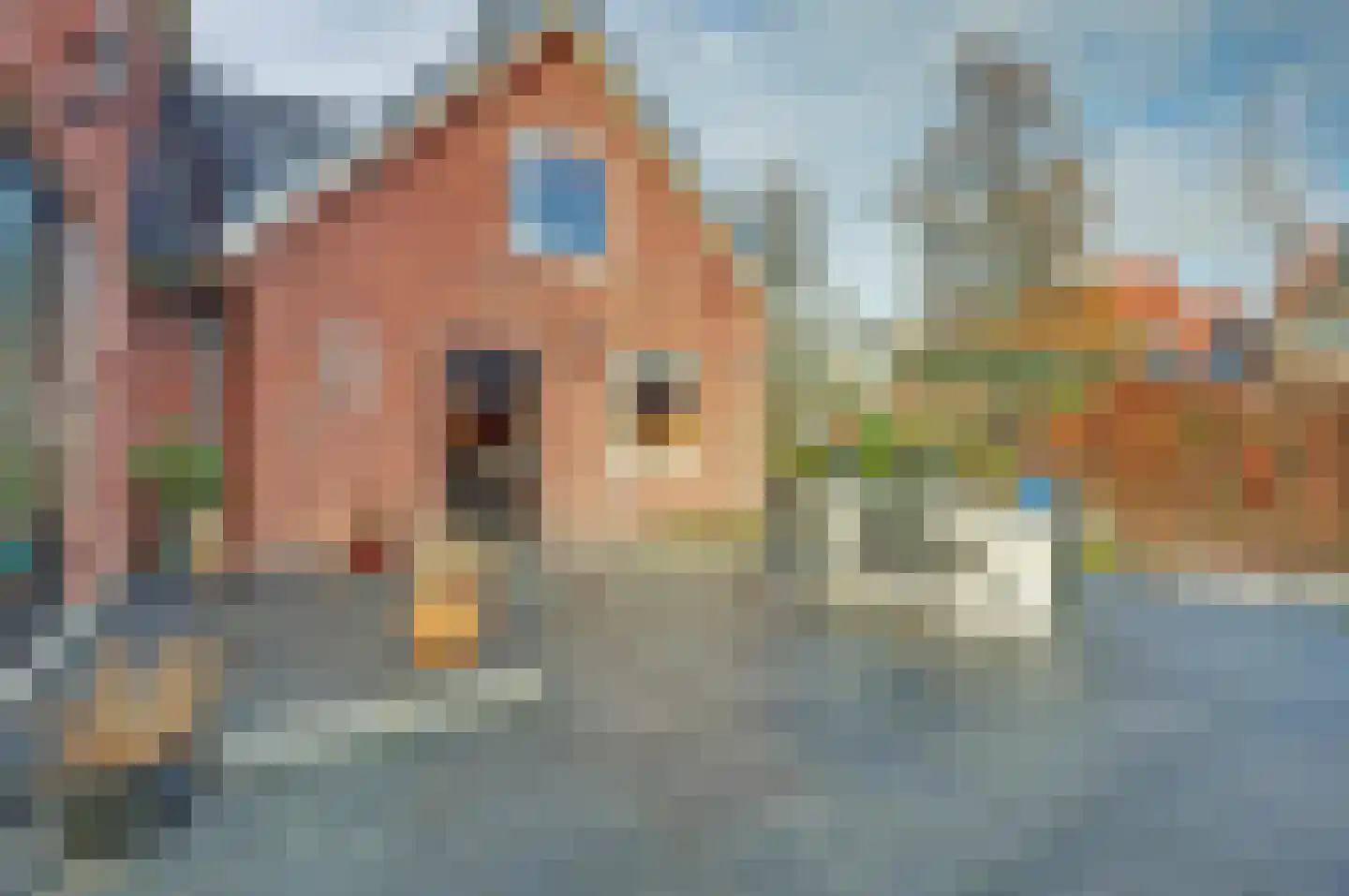Naaldwijkseweg 404 's-Gravenzande thumbnail 31