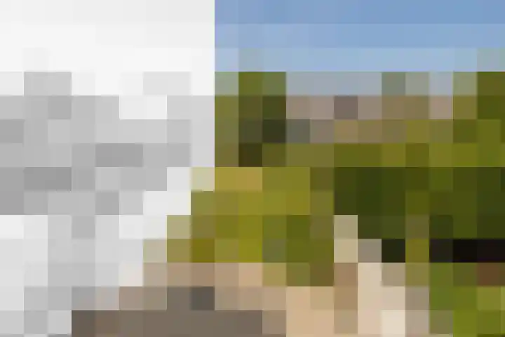 Naaldwijkseweg 45 's-Gravenzande thumbnail 31