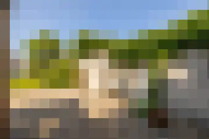 Naaldwijkseweg 45 's-Gravenzande thumbnail 32