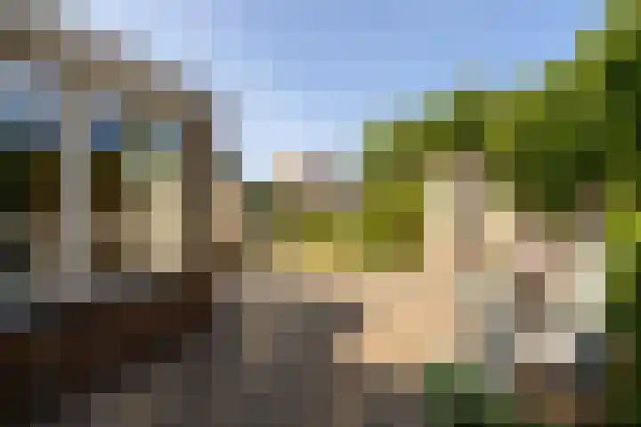 Naaldwijkseweg 45 's-Gravenzande thumbnail 33