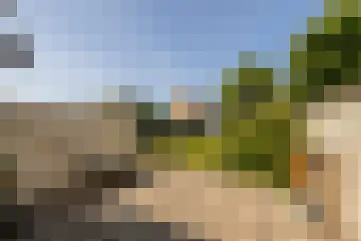 Naaldwijkseweg 45 's-Gravenzande thumbnail 34
