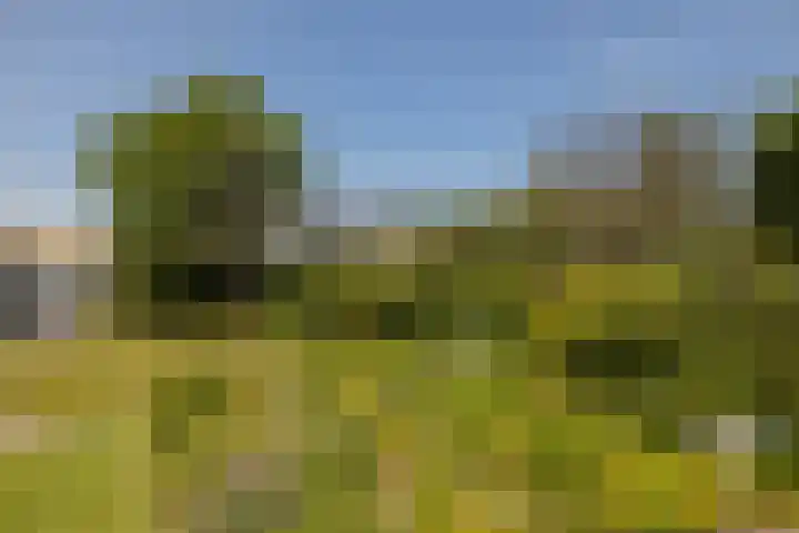 Naaldwijkseweg 45 's-Gravenzande thumbnail 35