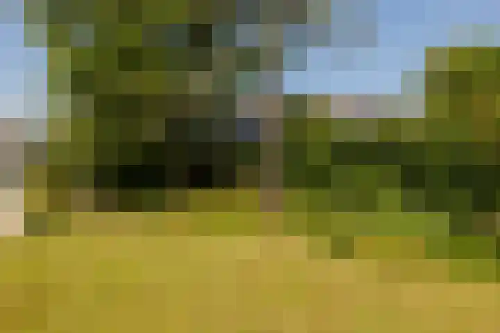 Naaldwijkseweg 45 's-Gravenzande thumbnail 36