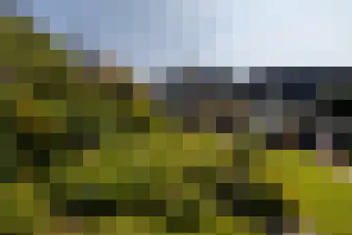 Naaldwijkseweg 45 's-Gravenzande thumbnail 37