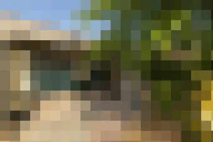 Naaldwijkseweg 45 's-Gravenzande thumbnail 38