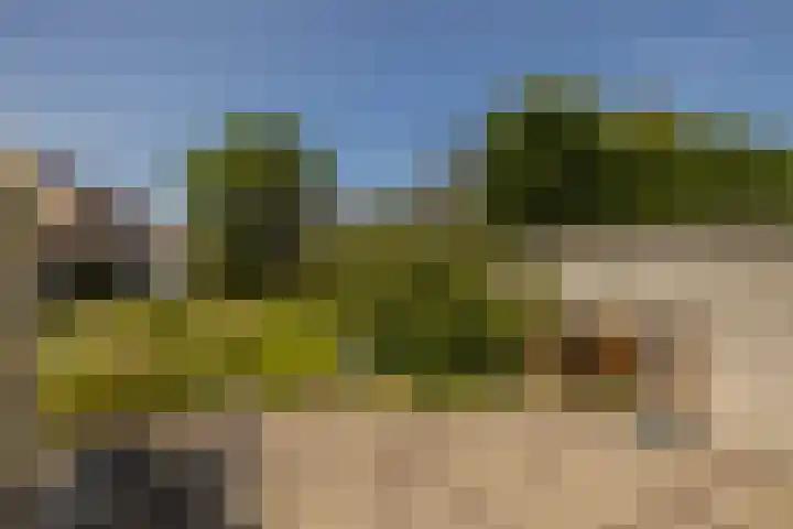 Naaldwijkseweg 45 's-Gravenzande thumbnail 4