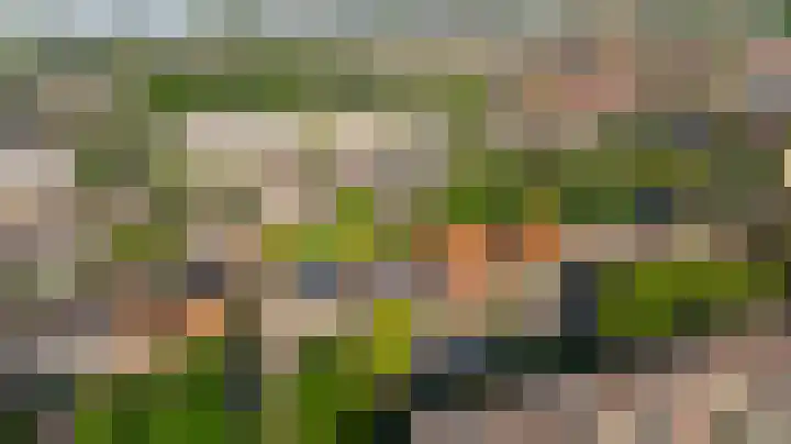 Naaldwijkseweg 45 's-Gravenzande thumbnail 43