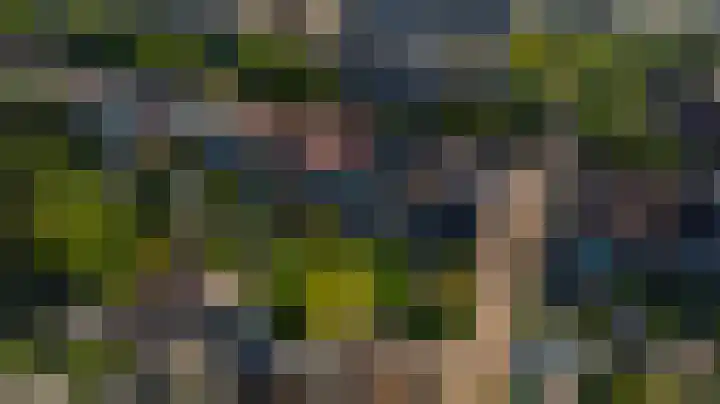 Naaldwijkseweg 45 's-Gravenzande thumbnail 45