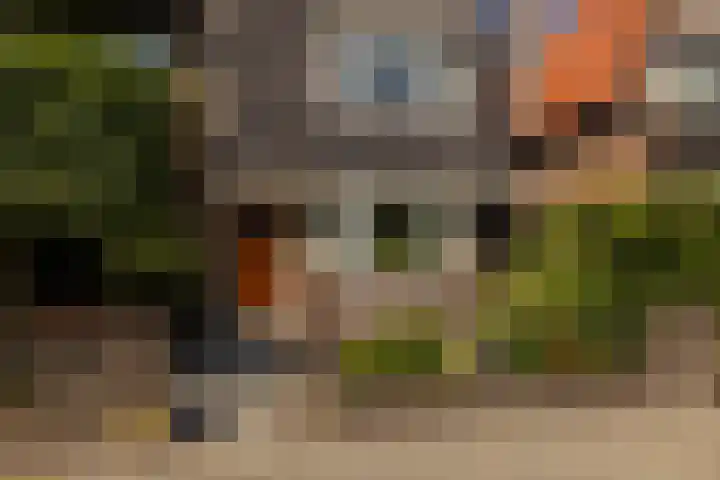 Naaldwijkseweg 45 's-Gravenzande thumbnail 5
