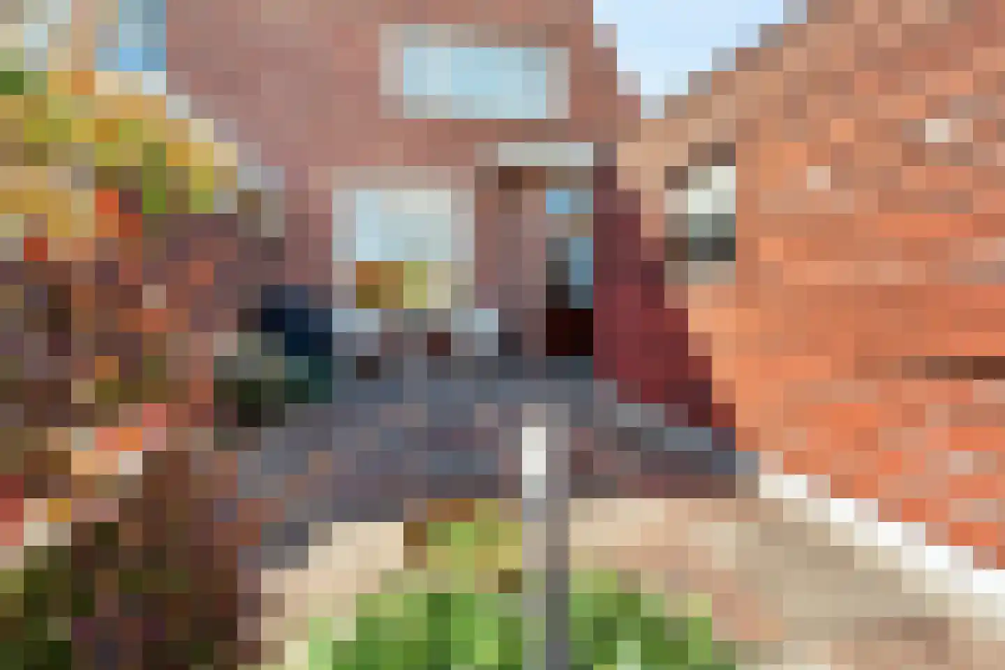 Naaldwijkseweg 52 's-Gravenzande thumbnail 28