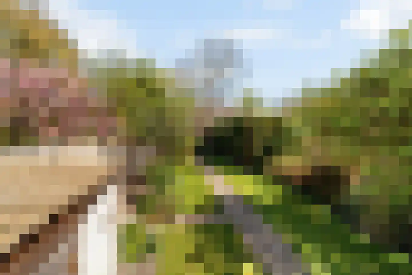 Naaldwijkseweg 52 's-Gravenzande thumbnail 30