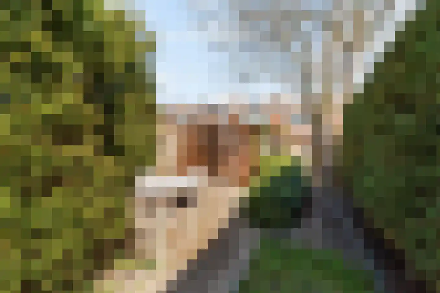 Naaldwijkseweg 52 's-Gravenzande thumbnail 32