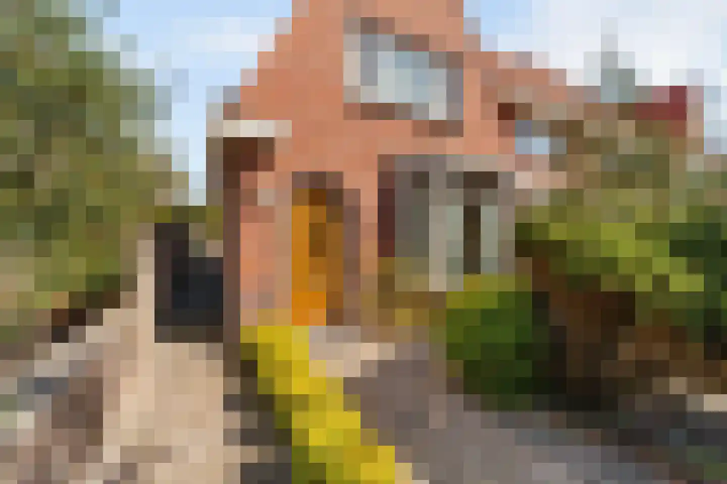 Naaldwijkseweg 52 's-Gravenzande thumbnail 33