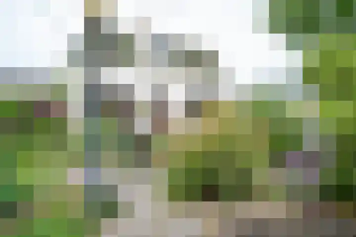 Naaldwijkseweg 70 's-Gravenzande thumbnail 27
