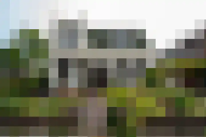 Naaldwijkseweg 70 's-Gravenzande thumbnail 4