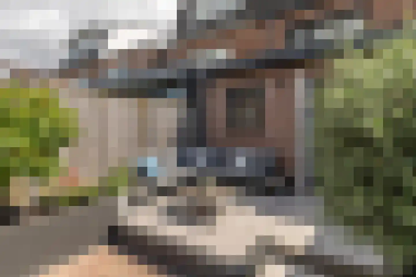 Naaldwijkseweg 71 's-Gravenzande thumbnail 30
