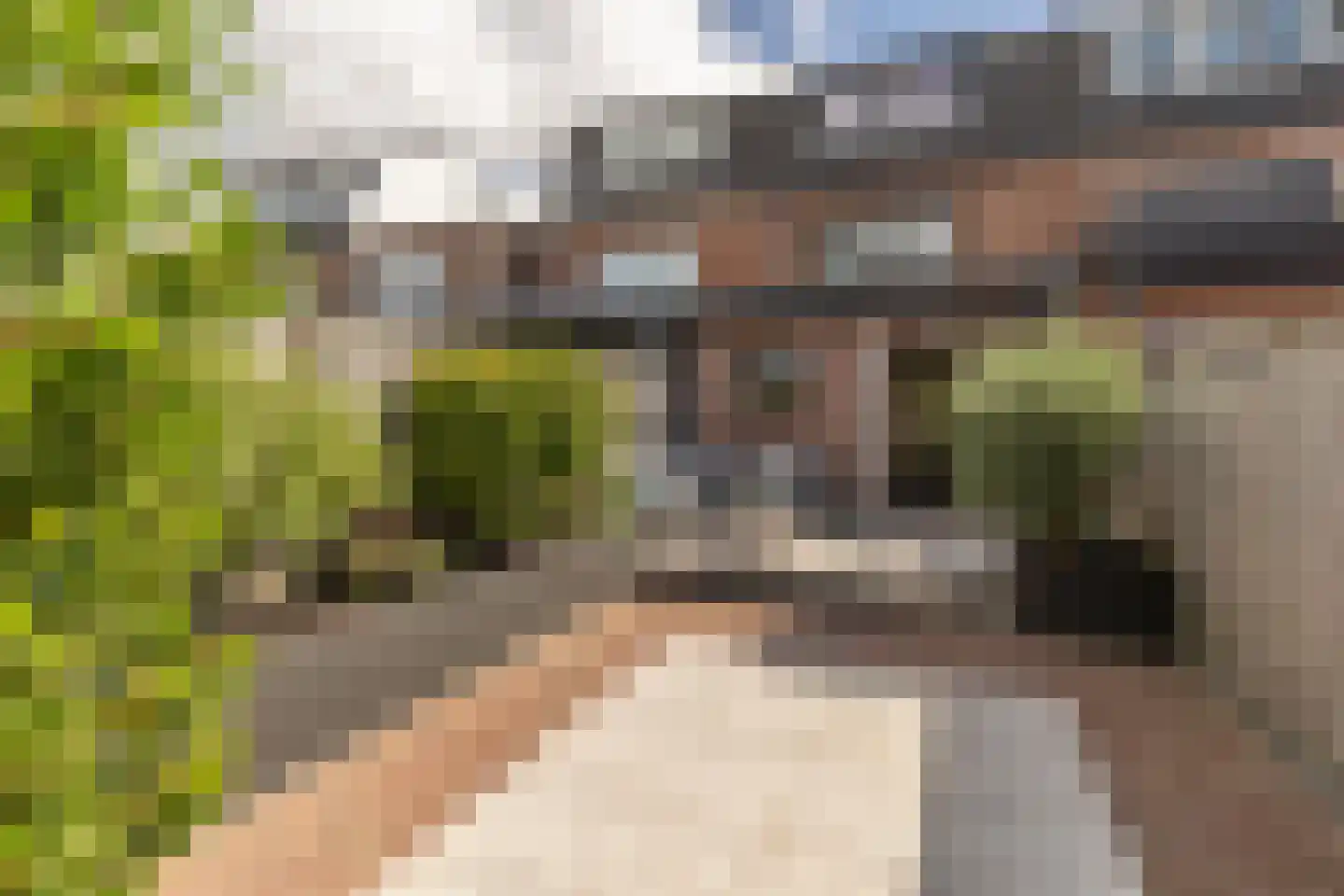 Naaldwijkseweg 71 's-Gravenzande thumbnail 5