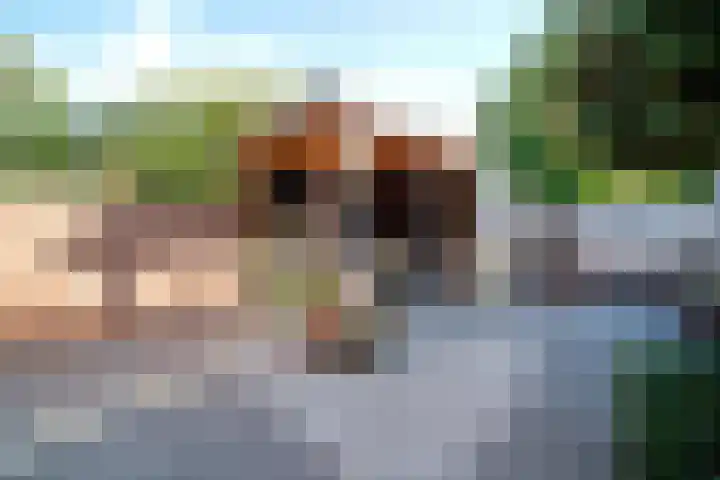Naaldwijkseweg 90 's-Gravenzande thumbnail 40
