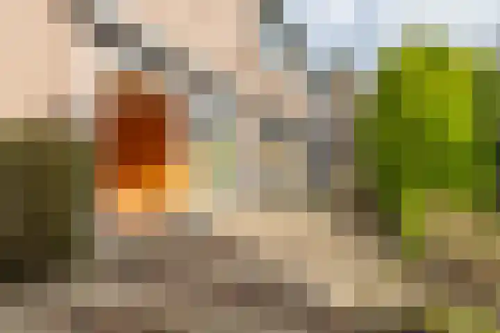 Naaldwijkstraat 21 Arnhem thumbnail 10