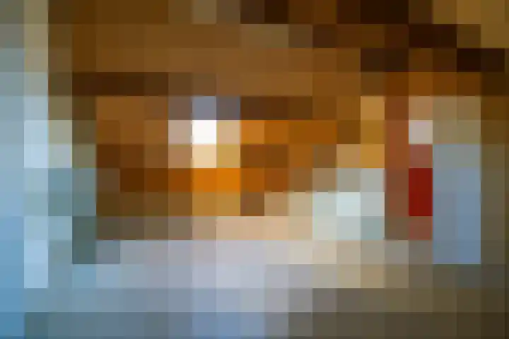 Naalrand 59 Den Hoorn thumbnail 33