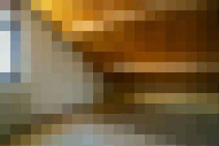 Naalrand 59 Den Hoorn thumbnail 34