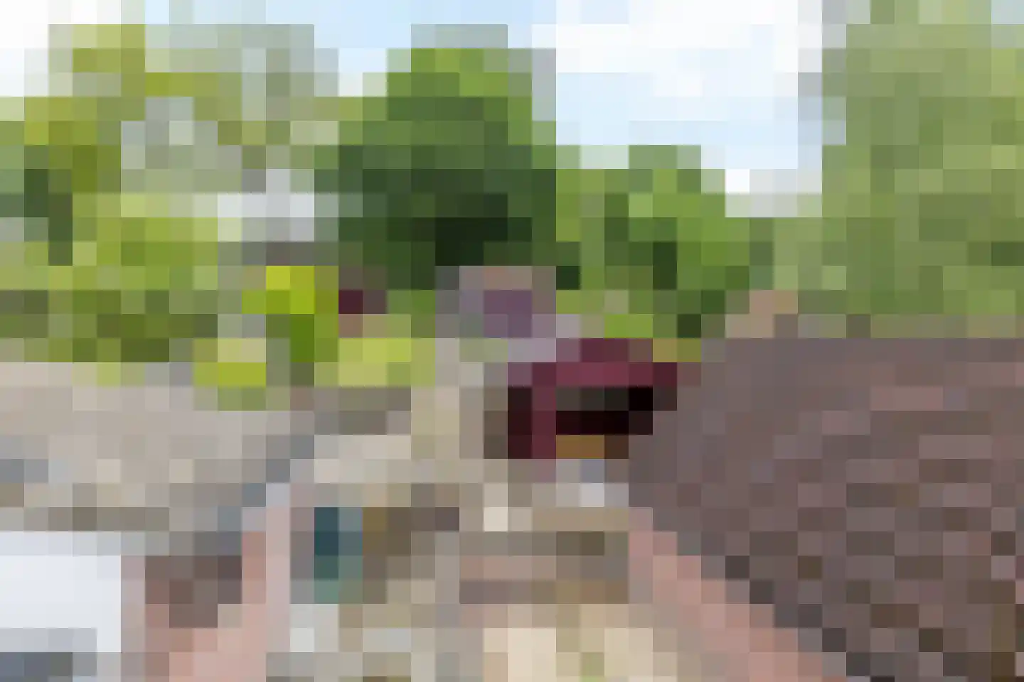 Naanhofsweg 86 Nuth foto 2