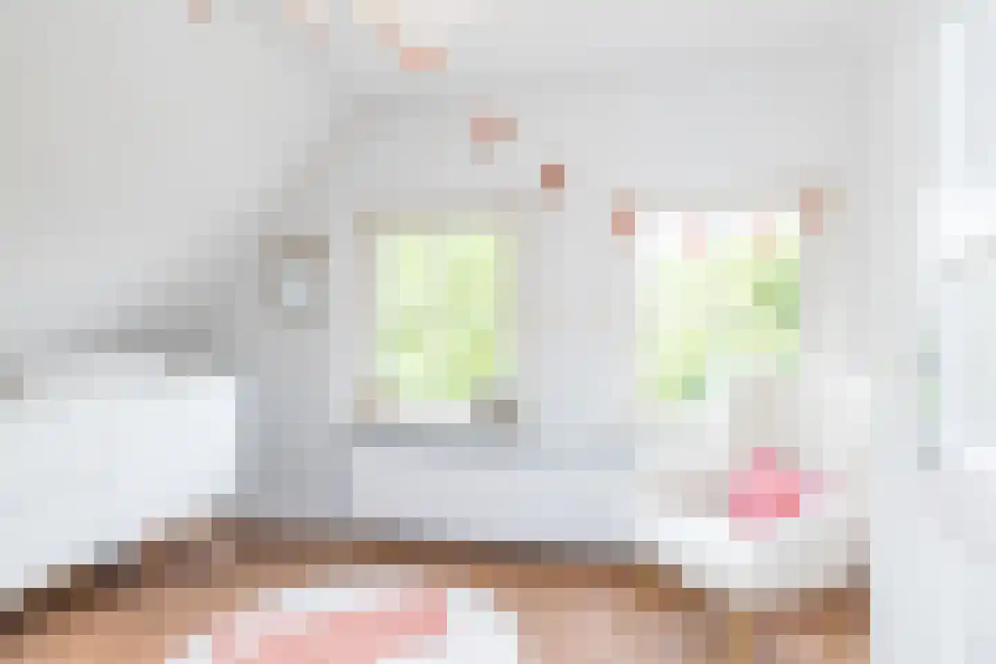 Naanhofsweg 86 Nuth thumbnail 23