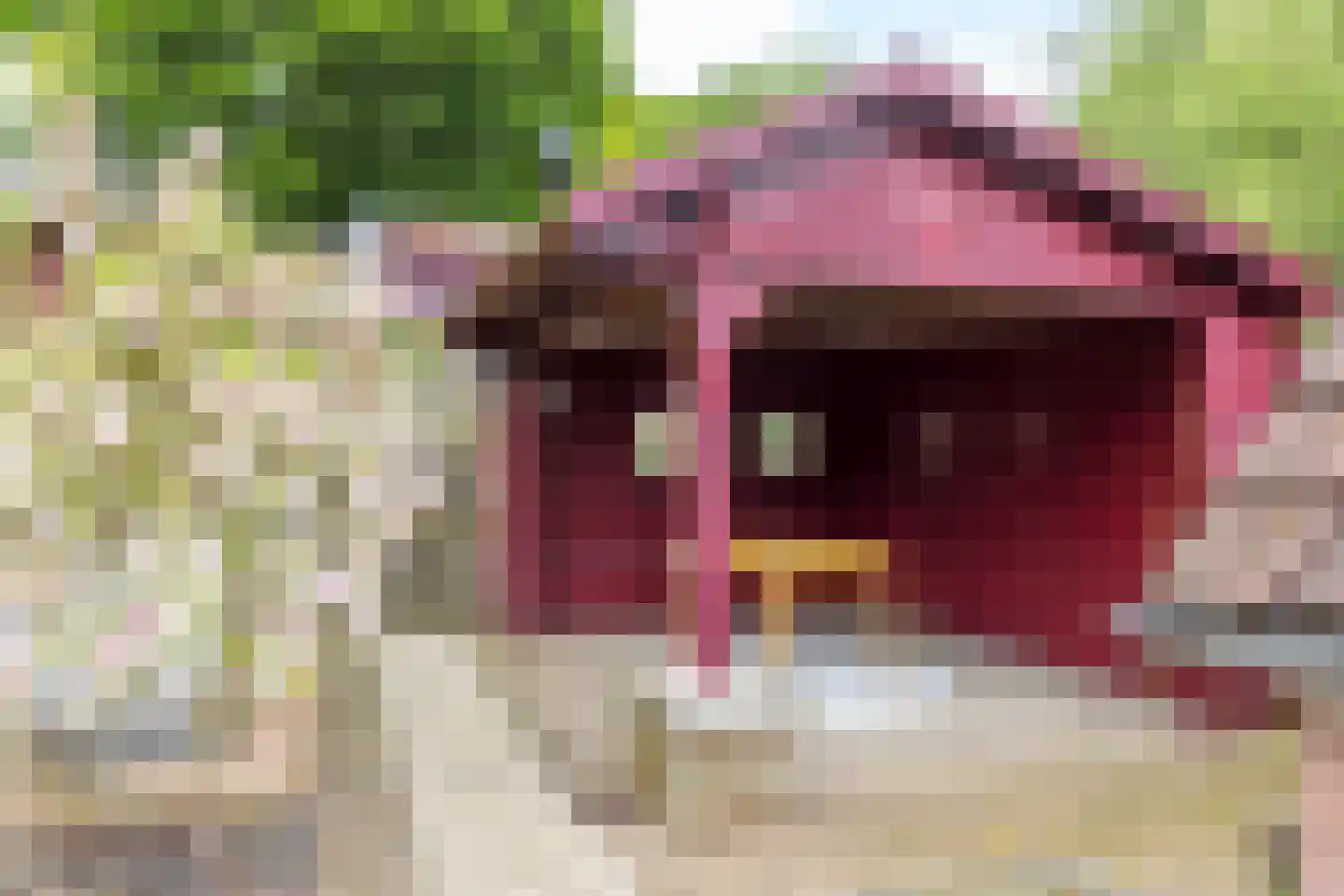 Naanhofsweg 86 Nuth thumbnail 28